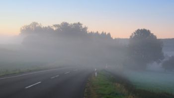 adac-tipps-fur-die-sichere-fahrt-im-herbst-nebel-strasse-adobestock-igor-home-1.jpg