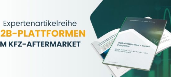 speed4trade-liefert-neue-expertenartikelreihe-zu-b2b-plattformen-expertenartikelreihe-1.jpg