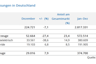 vdik-marktanteil-von-e-autos-weiter-rucklaufig-forderung-muss-alle-marken-berucksichtigen-1-1.png